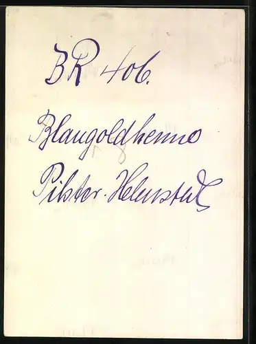 Fotografie Geflügel, Henne - Blaugoldhenne im Gehege 1931