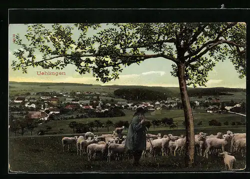 AK Uehlingen, Schäfer mit seiner Schafherde vor dem Ort