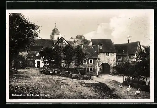 AK Betzenstein /Fränk. Schweiz, Blick auf den Ort mit Gänsen
