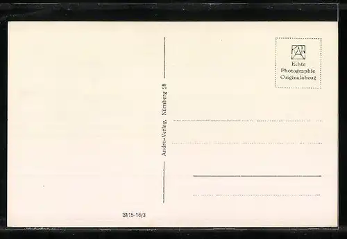 AK Betzenstein /Fränk. Schweiz, Blick auf den Ort mit Gänsen