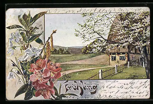 Lithographie Frühling, Blumen, Weidenkätzchen