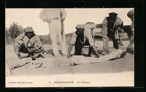 AK Madagascar, Un Caiman