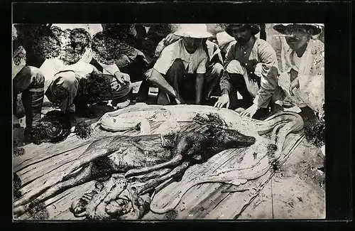 Foto-AK Jäger mit totem Reh und einer Schlange