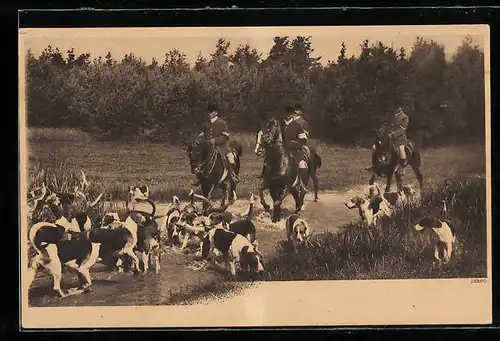 AK Jagdszene mit Hundemeute an einem Gewässer