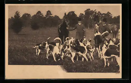 AK Jagdszene mit Hundemeute auf einem Feld