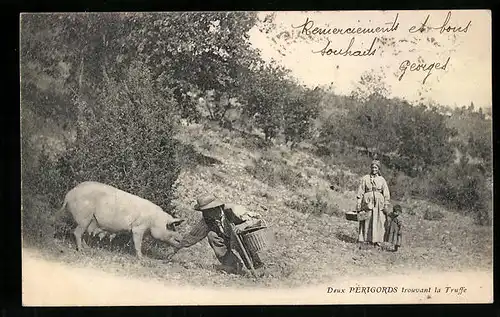 AK Deux Périgords trouvant la Truffe