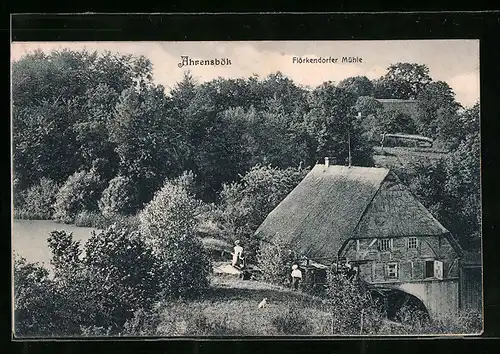 AK Ahrensbök, Flörkendorfer Mühle aus der Vogelschau