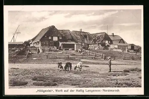 AK Hallig Langeness-Nordmarsch, Werft Hilligenlei