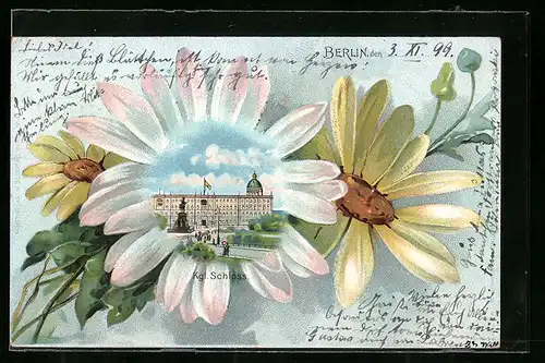 Lithographie Berlin, Kgl. Schloss in der Blumenblüte