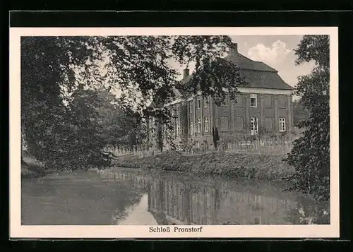AK Pronstorf, Blick über das Wasser auf das Schloss
