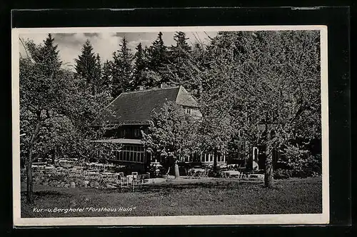 AK Oybin, Kur- und Berghotel Forsthaus Hain, Gartenansicht