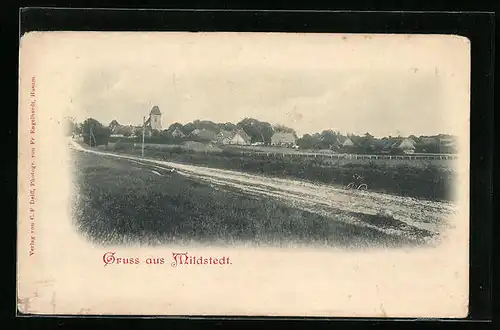 AK Mildstedt, Panorama des Ortes von der Landstrasse aus