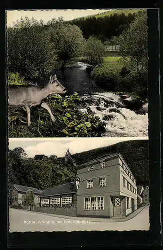 AK Rod a. d. Weil, Gasthof und Pension zur Post, Reh am Fliess