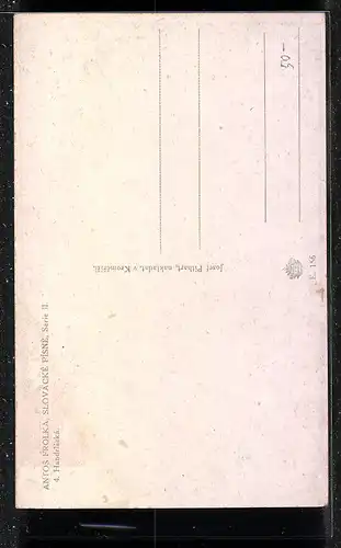 AK Slowake und Frau mit Gänsen auf der Strasse