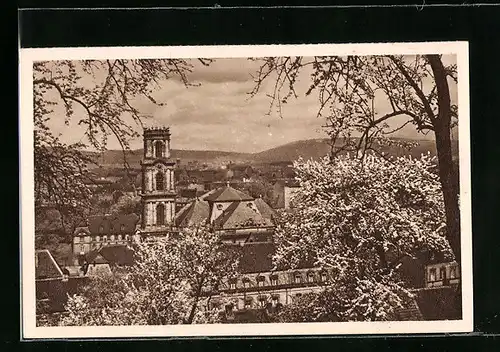AK Saarbrücken, Teilansicht bei Baumblüte, Ganzsache WHW Winterhilfswerk 1934-35