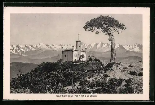 AK Olten, Blick zum Säli-Schlössli