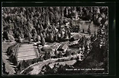 AK Blausee, Blick auf die Alpine Forellenzucht