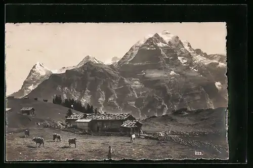 AK Mürren, Berghütte Spielbodenalp mit Eiger und Mönch