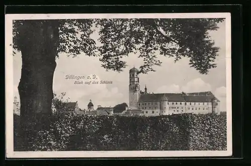AK Dillingen a. D., Blick auf das Schloss