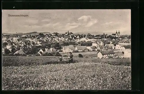 AK Donaueschingen, Totalansicht
