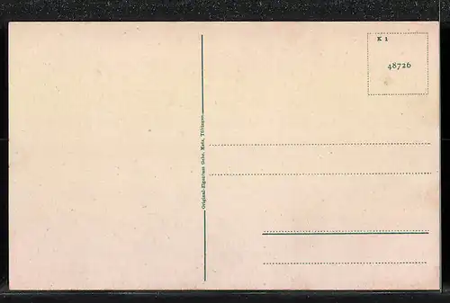 AK Pottenstein / Fränk. Schweiz, Gesamtansicht
