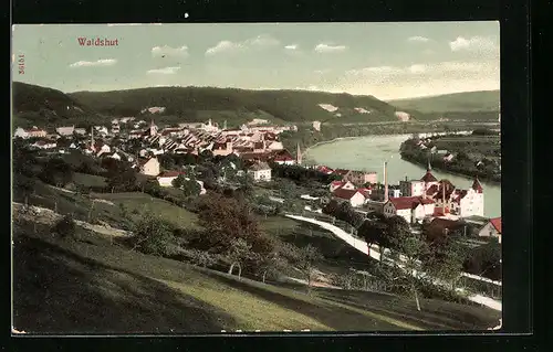 AK Waldshut, Totale vom Berg aus gesehen