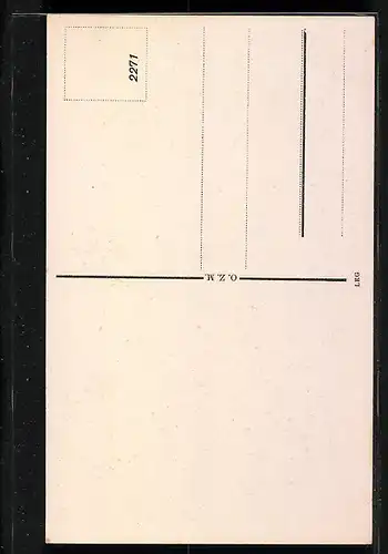 AK Amberg i. Obpf., Blick zum Nabburgertor