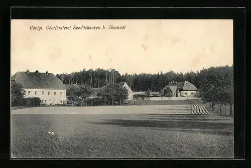AK Spechtshausen b. Tharandt, Kgl. Oberförsterei