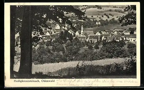 AK Heiligkreuzsteinach / Odenwald, Totalansicht