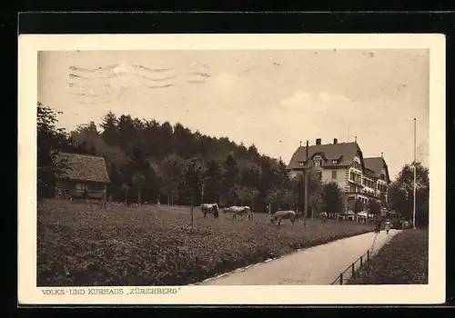 AK Zürich, Volks- und Kurhaus Zürichberg