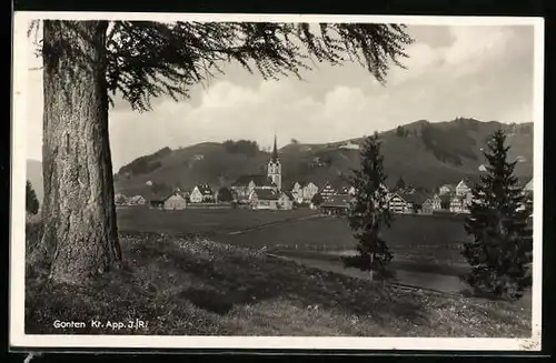 AK Gonten, Panorama des Ortes