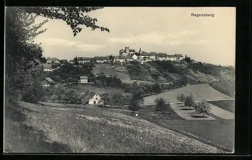 AK Regensberg, Ortsansicht mit Feldern