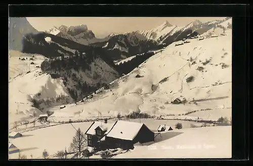 AK Stein, Ortsansicht mit Bergspitzen im Winter