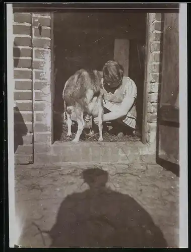 Fotografie Bäuerin melkt eine Ziege