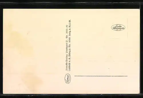 AK Achern i. Baden, Teilansicht, Fliegeraufnahme