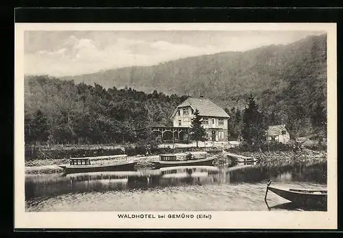 AK Gemünd /Eifel, Waldhotel mit Booten
