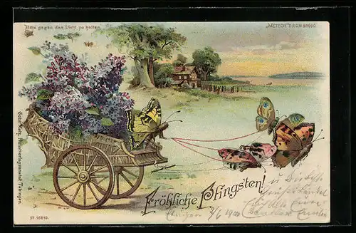 Lithographie Schmetterlingswagen mit Fliederblüten in Frühlingslandschaft, Pfingstgruss, Halt gegen das Licht