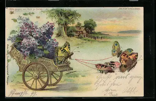 Lithographie Schmetterlingswagen mit Fliederblüten in Seelandschaft, Pfingstgruss, Halt gegen das Licht