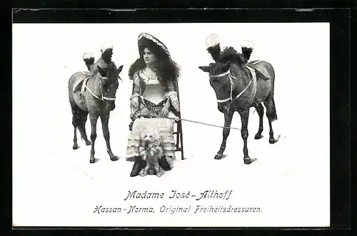 AK Madame José-Althoff mit dressierten Eseln und Hund, Hassan-Norma