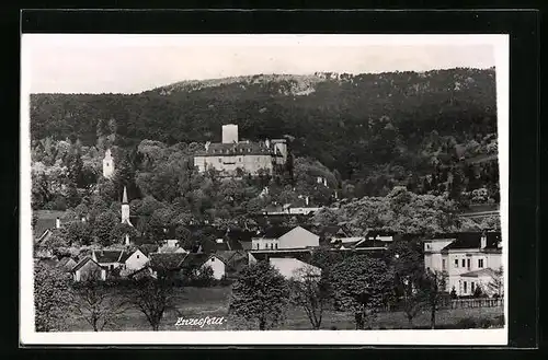 AK Enzesfeld, Ortsansicht aus der Vogelschau