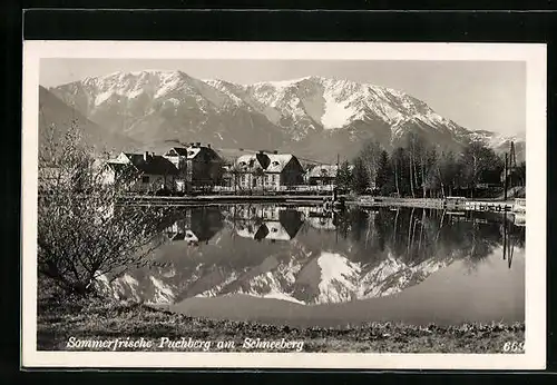 AK Puchberg am Schneeberg, Ortsansicht mit Seepartie