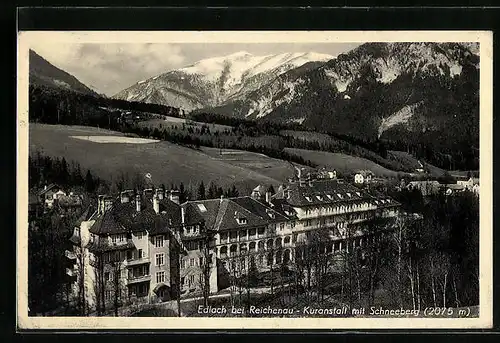 AK Edlach, Kuranstalt mit Schneeberg