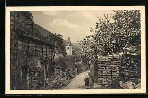 AK Spitz a. d. D., Dorfpartie, Blick zur Kirche