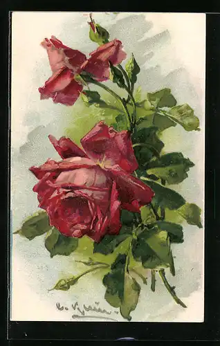Künstler-AK Catharina Klein: Prachtvolle rote Rosen