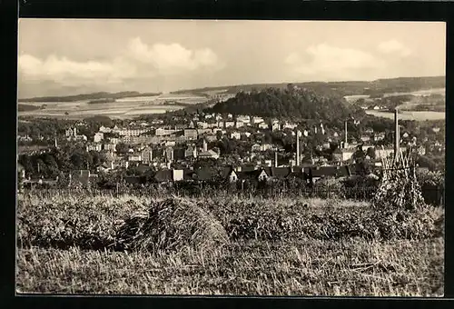 AK Pössneck / Thür., Panorama mit der Altenburg