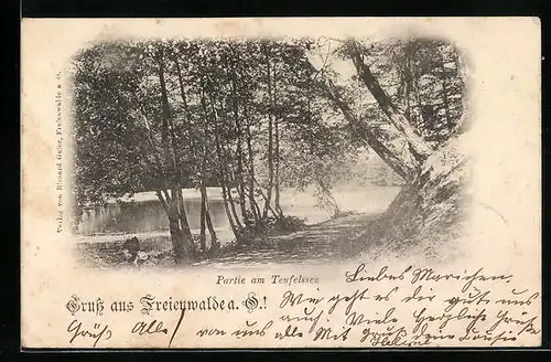 AK Freienwalde / Oder, Partie am Teufelssee