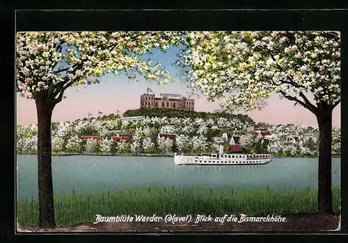 AK Werder / Havel, Blick auf die Bismarckhöhe, Flusspartie mit Dampfer, Baumblüte