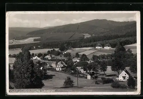 AK Eubabrunn / Vogtl., Ortsansicht aus der Vogelschau