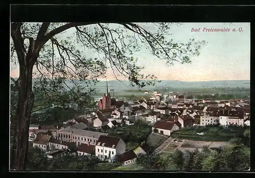 AK Bad Freienwalde a. O., Gesamtansicht