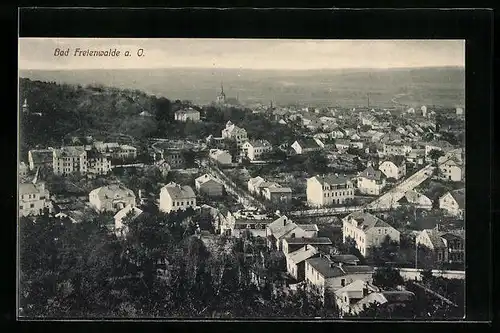 AK Bad Freienwalde a. O., Gesamtansicht